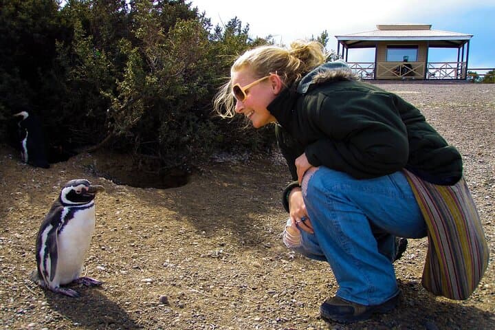 Punta Tombo Penguin Colony: Full-Day Wildlife Tour from Puerto Madryn photo 3