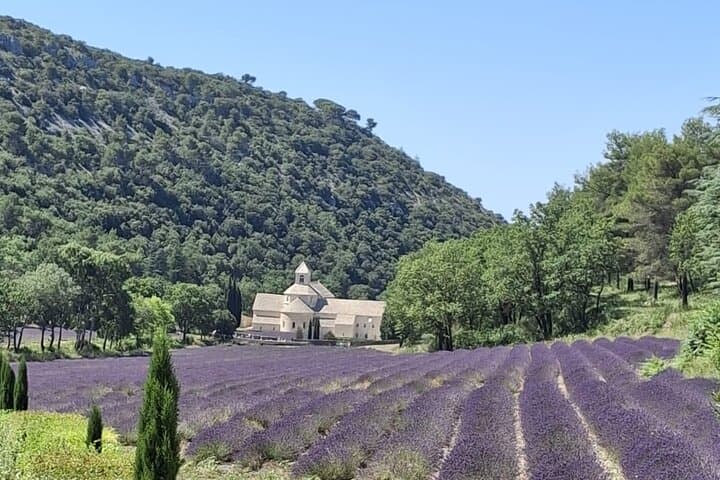 Provencal Elegance: Lavender Fields, Olive Oil Tasting & Pistachio Boutique in Valensole photo 5