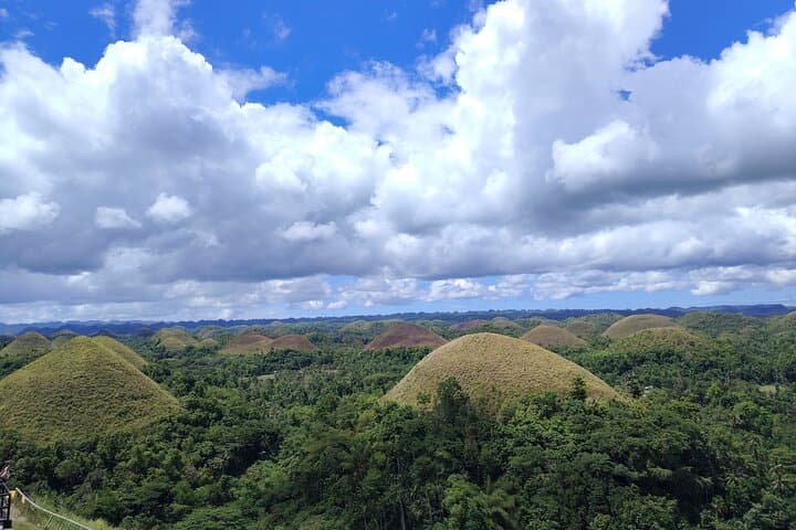 Bohol Countryside Tour: Chocolate Hills, Tarsiers & Loboc River Cruise