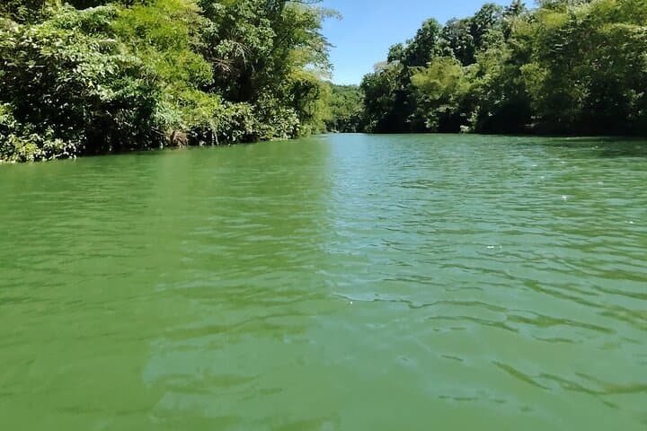 Bohol Countryside Tour: Chocolate Hills, Tarsiers & Loboc River Cruise photo 5