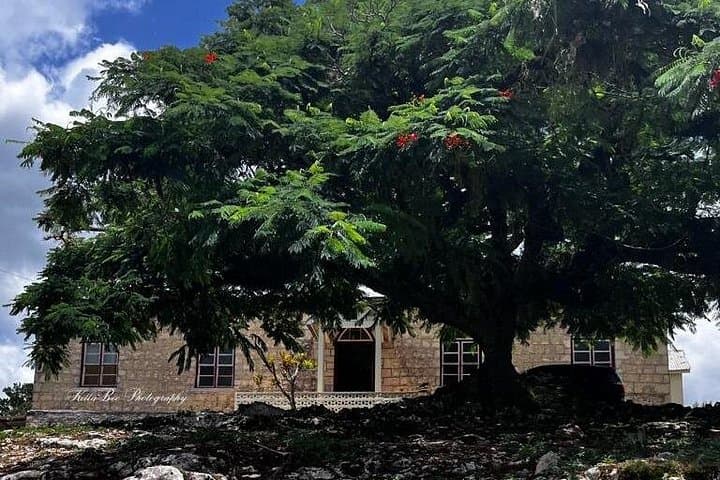 Bob Marley Nine Mile Heritage Tour from Ocho Rios — Bus Transfer & Guided Experience photo 2