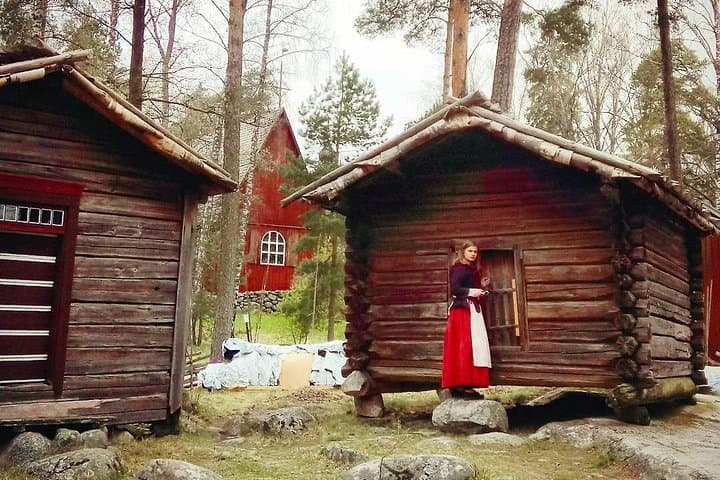 Grand Helsinki Tour & Seurasaari Island Museum — Private 3–4 Hour Sightseeing Drive photo 1