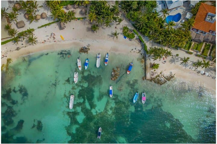 Private Turtle Snorkel in Akumal: Swim with Sea Turtles on a Guided Tour photo 3