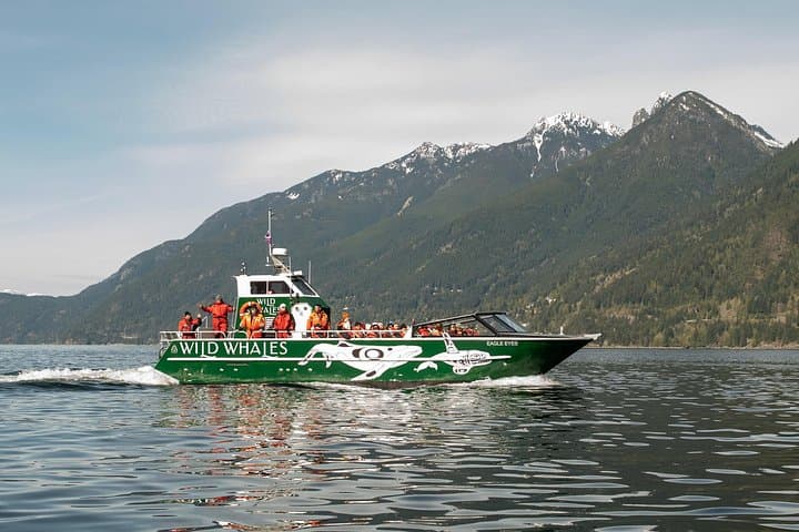 Granville Island Whale Watching: Open-Air Marine Wildlife Cruise photo 1