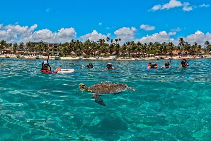 Akumal Turtle Snorkel & Cenote Jungle Adventure — Snorkel, Zipline, Rappel photo 3