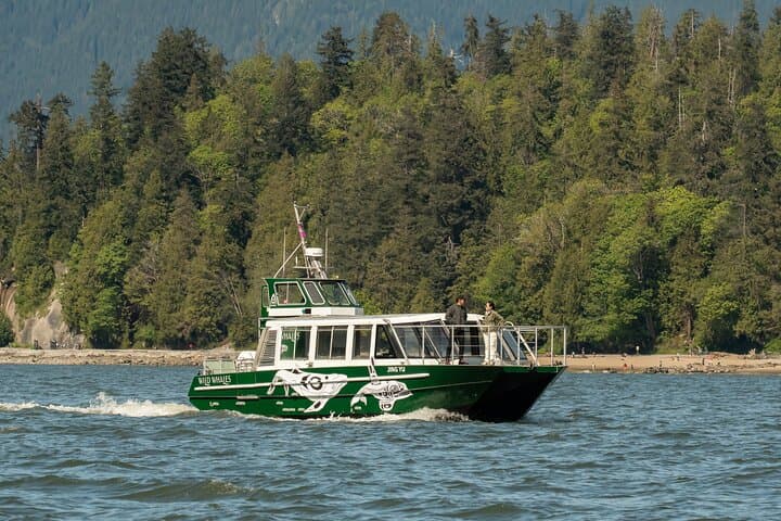 Granville Island Whale Watching: Intimate West Coast Wildlife Cruise photo 1