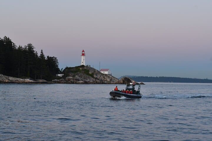 Intimate West Coast Whale Watching from Granville Island — Vancouver photo 3