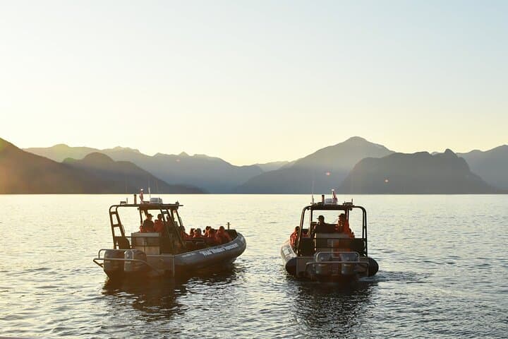Intimate West Coast Whale Watching from Granville Island — Vancouver photo 5