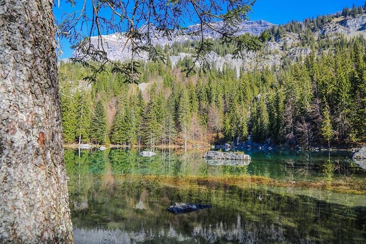 eBike to Lac Vert: Chamonix Valley Mountain Lake Tour
