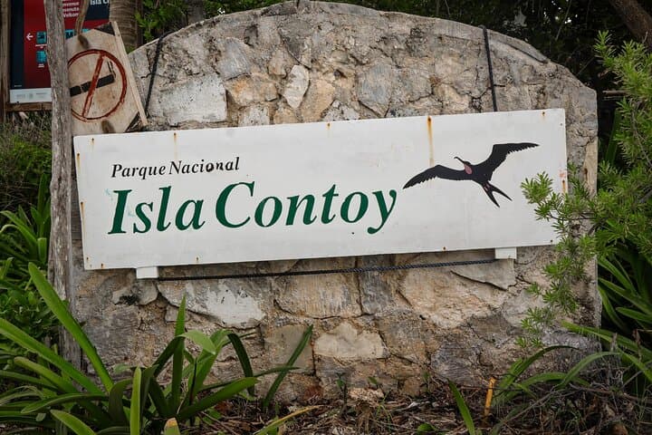 Isla Contoy and Isla Mujeres Snorkeling Day Trip from Playa del Carmen photo 3