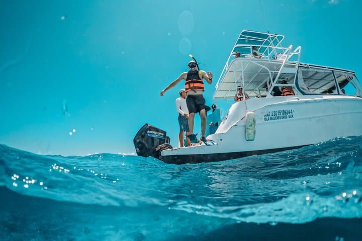 Private Isla Contoy & Isla Mujeres Snorkel Tour from Playa del Carmen photo 2