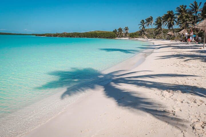 Isla Contoy and Isla Mujeres Snorkeling Day Trip from Playa del Carmen photo 6