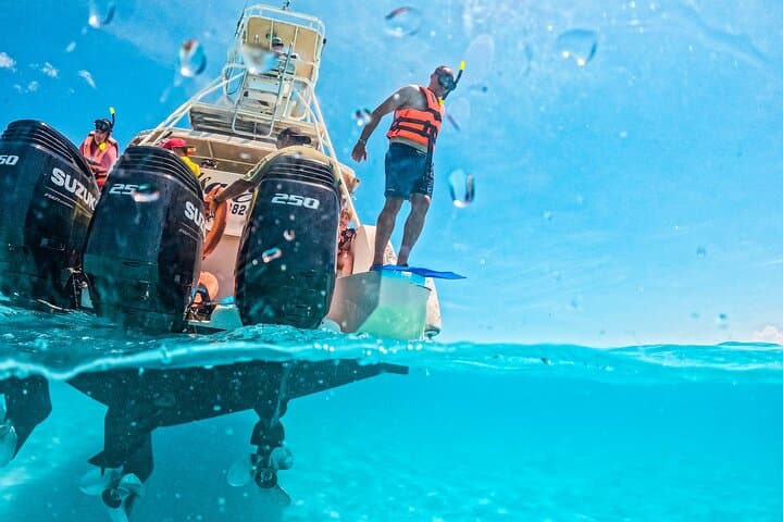 Private Isla Contoy & Isla Mujeres Snorkel Tour from Playa del Carmen photo 6
