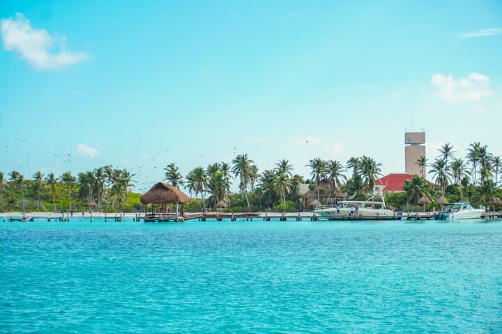 Private Isla Contoy & Isla Mujeres Snorkel Tour from Playa del Carmen photo 4