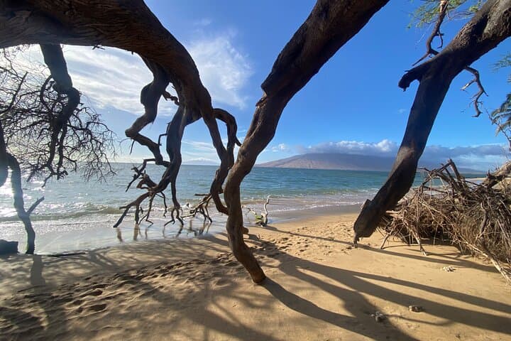 Road to Hana Maui: Guided Day Tour to Waterfalls, Black Sand Beach & Bamboo Forest photo 2