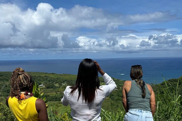 Road to Hana Maui: Guided Day Tour to Waterfalls, Black Sand Beach & Bamboo Forest photo 4