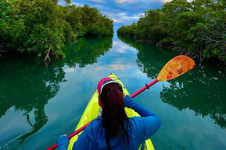 Self-Guided 2-Hour Key West Kayak Rental Through Mangrove Tunnels photo 4