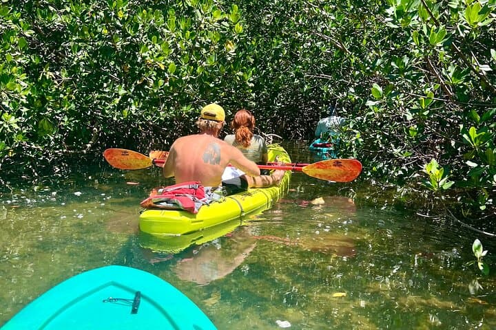 Self-Guided 2-Hour Key West Kayak Rental Through Mangrove Tunnels photo 2