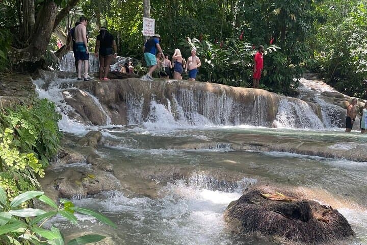 Dunns River Falls Day Trip from Montego Bay: Private Guided Climb & Swim photo 4