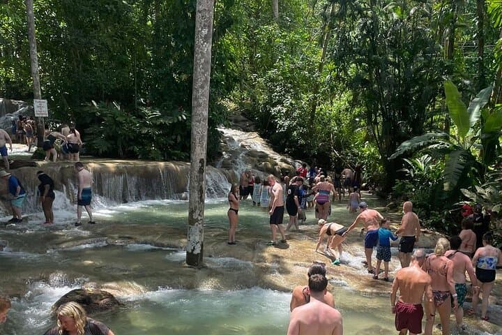Dunns River Falls Day Trip from Montego Bay: Private Guided Climb & Swim photo 5