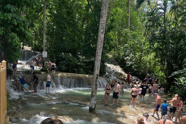 Dunns River Falls Day Trip from Montego Bay: Private Guided Climb & Swim photo 6