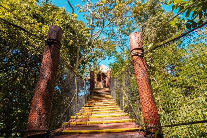Jungle Zipline, Rappel & Cenote Snorkel Near Cancun — Half-Day Adventure photo 3