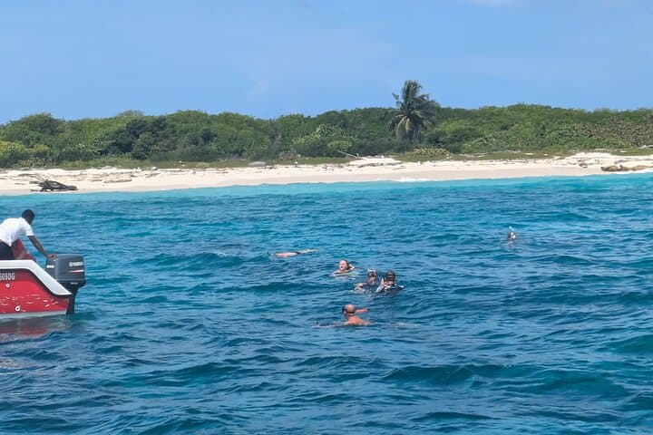 Catalina Island Day Tour Dominican Republic — Snorkel, Beach Buffet & Open Bar photo 3