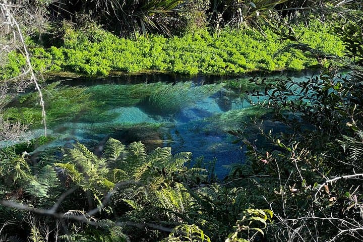 Auckland to Rotorua: Te Puia, Polynesian Spa & Blue Spring Day Tour photo 4