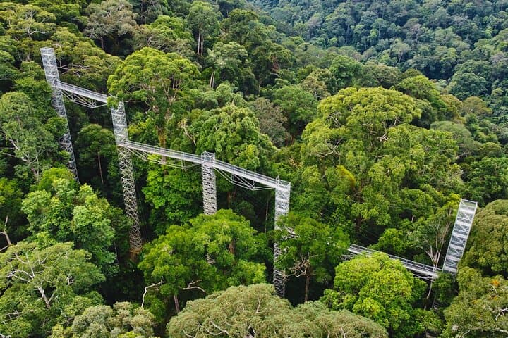 Explore Temburong Rainforest: Canopy Tower Hike, Waterfall & River Rafting photo 2