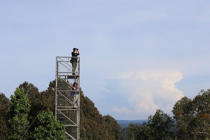 Explore Temburong Rainforest: Canopy Tower Hike, Waterfall & River Rafting