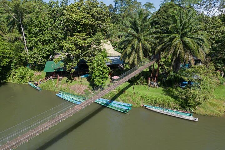 Explore Temburong Rainforest: Canopy Tower Hike, Waterfall & River Rafting photo 3