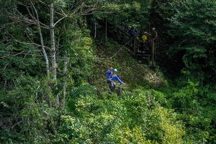 Explore Temburong Rainforest: Canopy Tower Hike, Waterfall & River Rafting photo 5