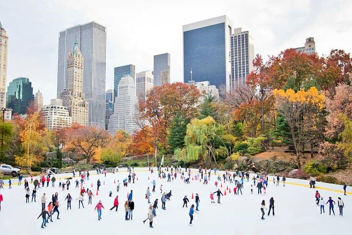 Central Park Private 2-Hour Guided Tour: Wollman Rink to Belvedere Castle photo 3
