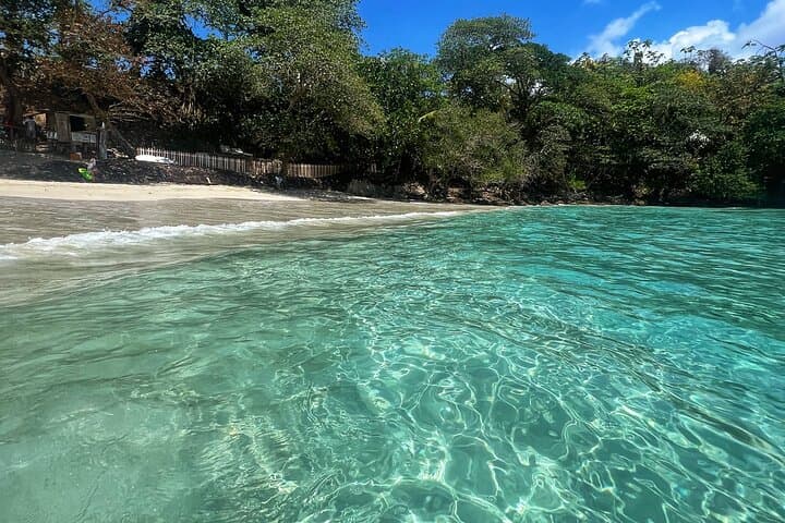 Port Antonio Private Day Tour: Somerset Falls, Blue Lagoon & Boston Beach photo 2