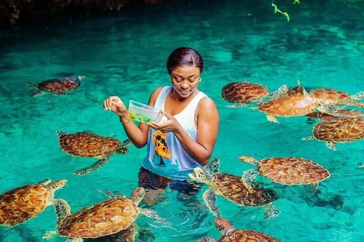 Jozani Forest and Sea Turtles Sanctuary Tour — Zanzibar Wildlife & Cultural Day Trip photo 5