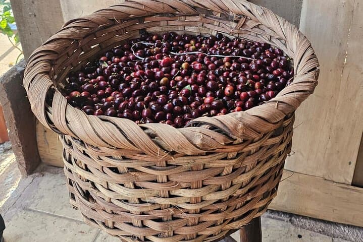Poás Coffee Tour: From Bean to Cup — Hands-On Tasting Near Alajuela photo 1