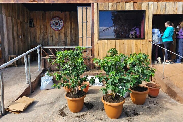 Poás Coffee Tour: From Bean to Cup — Hands-On Tasting Near Alajuela photo 4