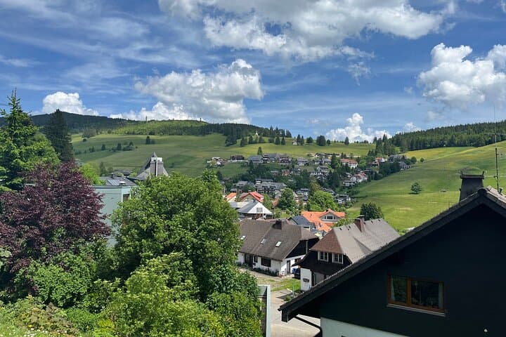 Private Black Forest Day Tour from Basel — Feldberg, Titisee & Todtnau Suspension Bridge photo 6