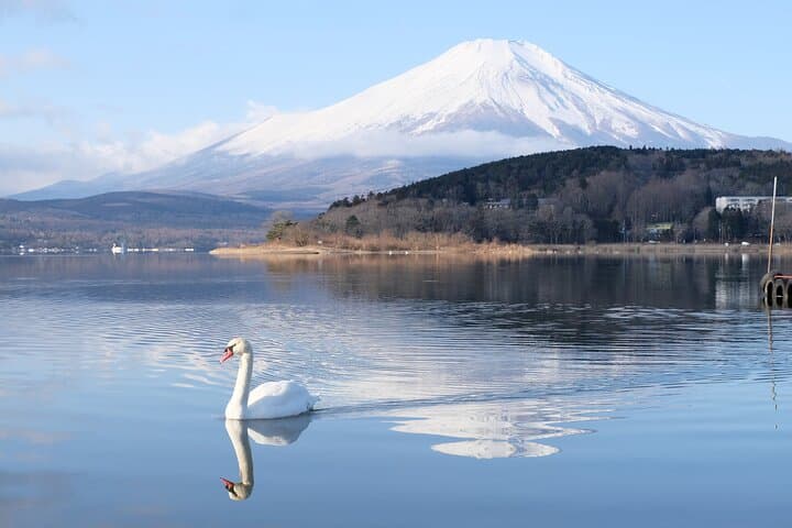 Mt Fuji One-Day Scenic Tour: Chureito Pagoda, Oshino Hakkai & Lake Yamanaka