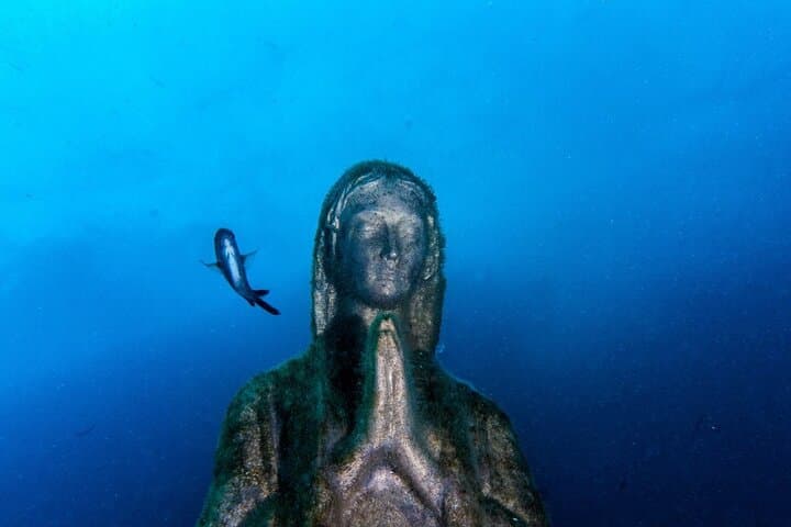 Double Dive in Punta Campanella Marine Protected Area — Sorrento Guided Boat Dives