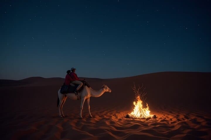 Doha Night Safari: Dune Bashing, Camel Ride and Stargazing Adventure photo 4