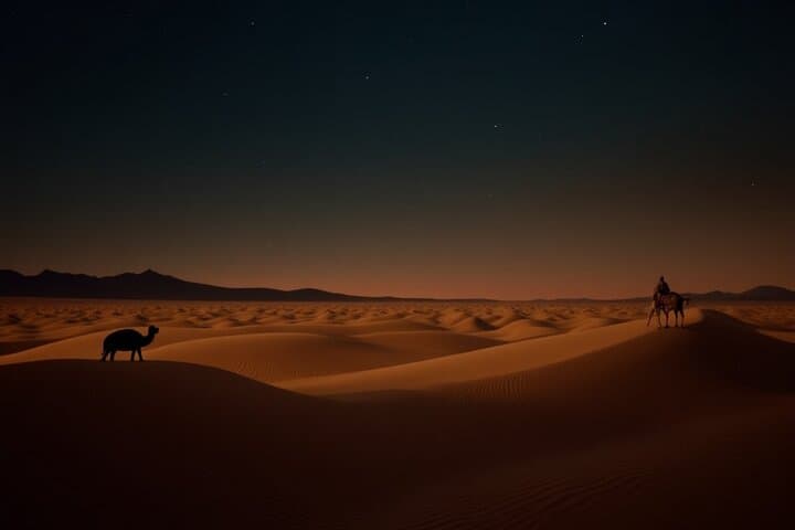 Doha Night Safari: Dune Bashing, Camel Ride and Stargazing Adventure photo 5