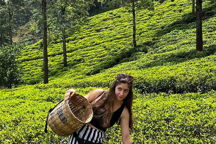 Kandy to Ella Scenic Road Trip and Train Ride — Tea Estates, Ramboda Falls & Nine Arch Bridge photo 4