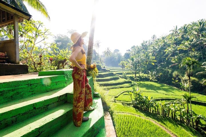 Private Ubud Tour: Monkey Forest, Tegalalang Rice Terrace & Waterfall photo 6