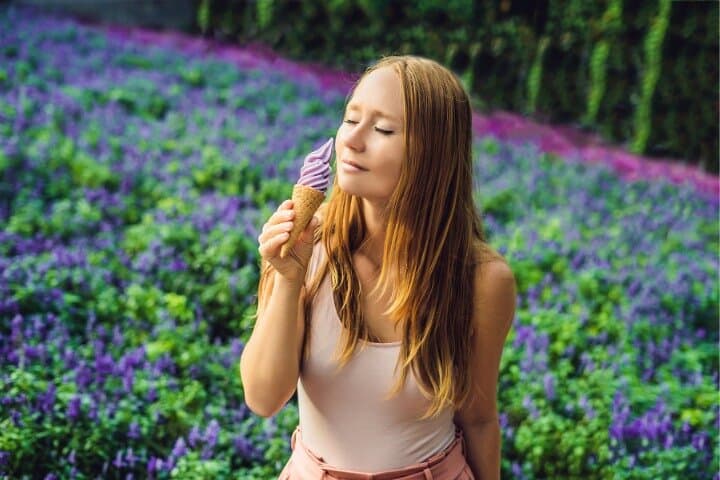 Furano & Biei Complete Day Tour: Lavender Fields, Blue Pond & Shirahige Falls
