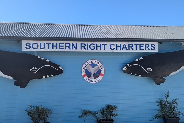 Cape Agulhas, Hermanus & Stony Point Penguin Colony: Full-Day Wildlife and Coastal Tour photo 4