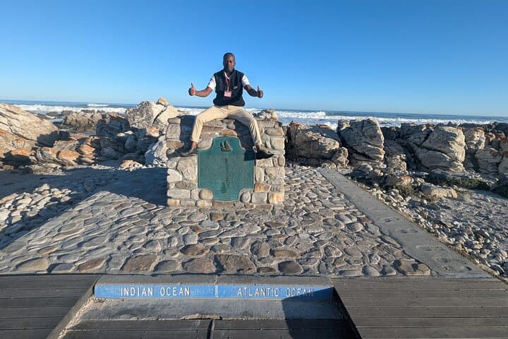 Cape Agulhas, Hermanus & Stony Point Penguin Colony: Full-Day Wildlife and Coastal Tour photo 1