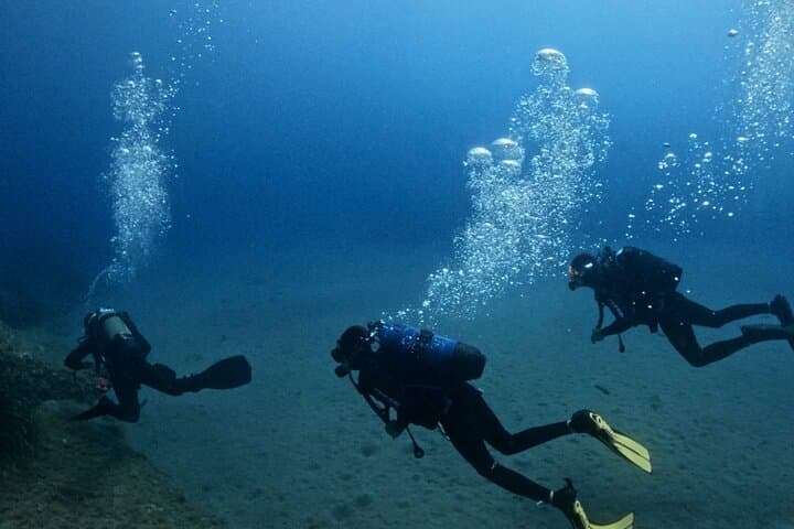 First Scuba Diving in Punta Campanella Marine Park - Beginner Dive from Sorrento photo 3