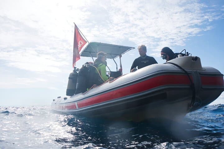 First Scuba Diving in Punta Campanella Marine Park - Beginner Dive from Sorrento photo 5
