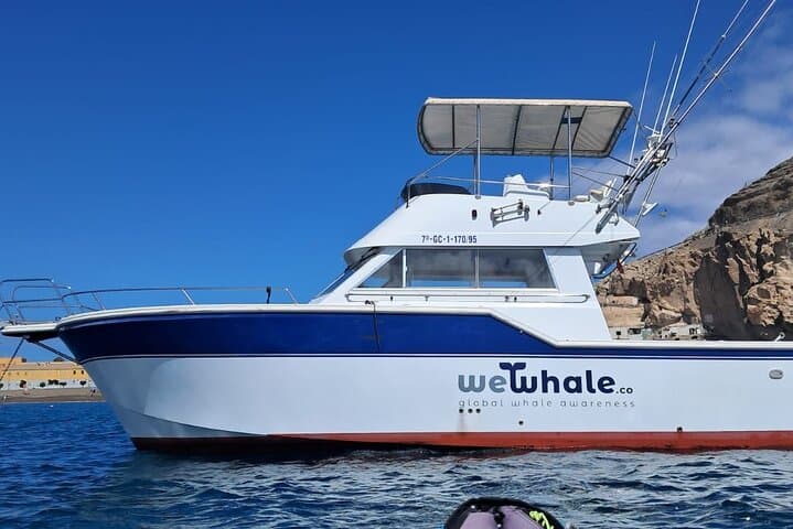 Silent Hybrid Dolphin Watch: Small-Group Marine Safari from Pasito Blanco, Gran Canaria photo 3